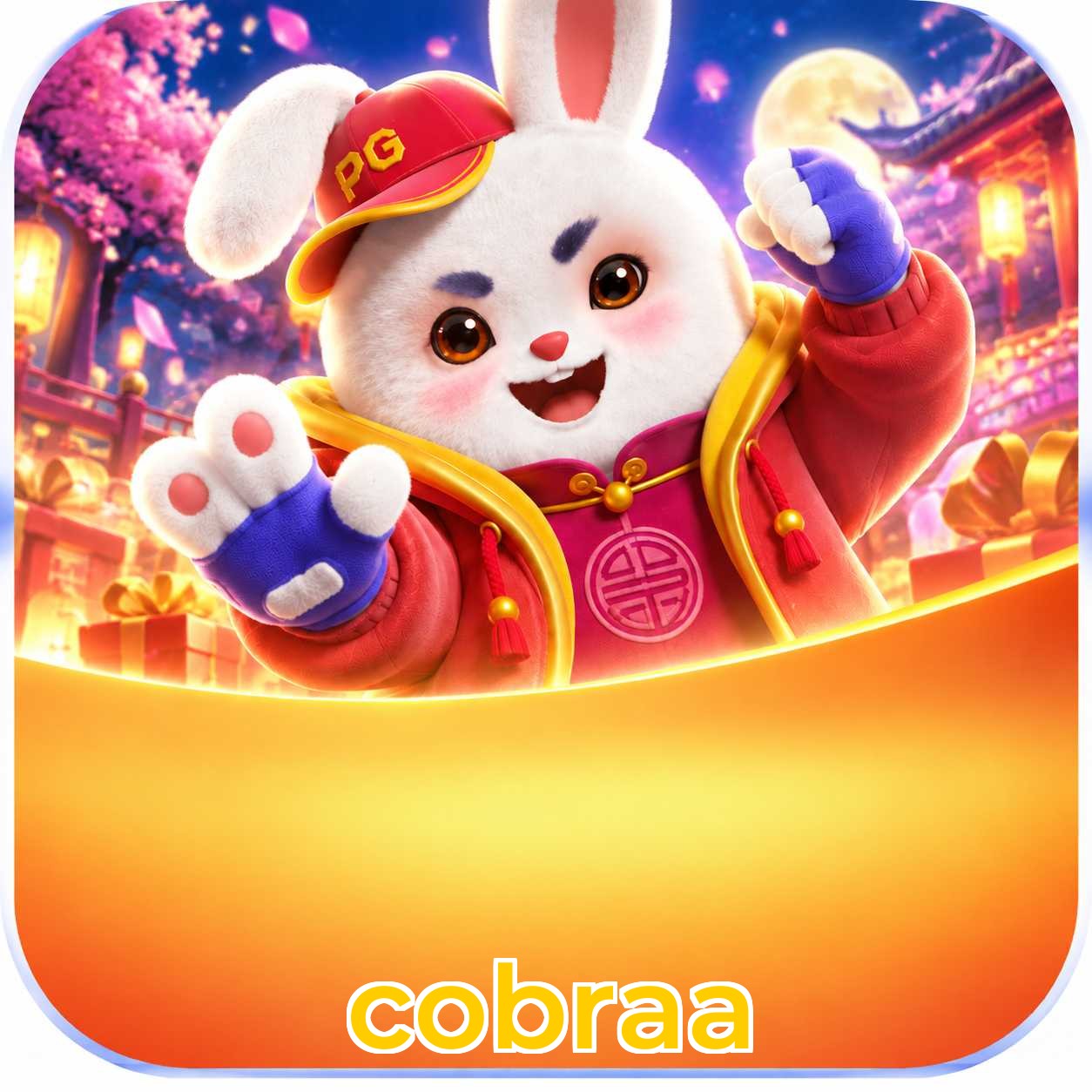 cobraa App vs Web